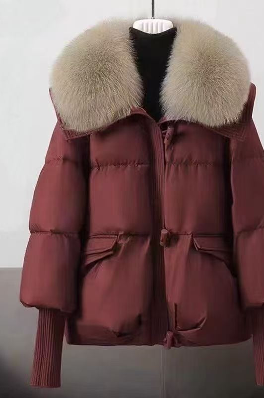 Korte gewatteerde winterjas met bontkraag